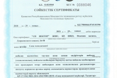 ISO 9001 (1)
