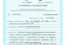 ISO 9001 (2)